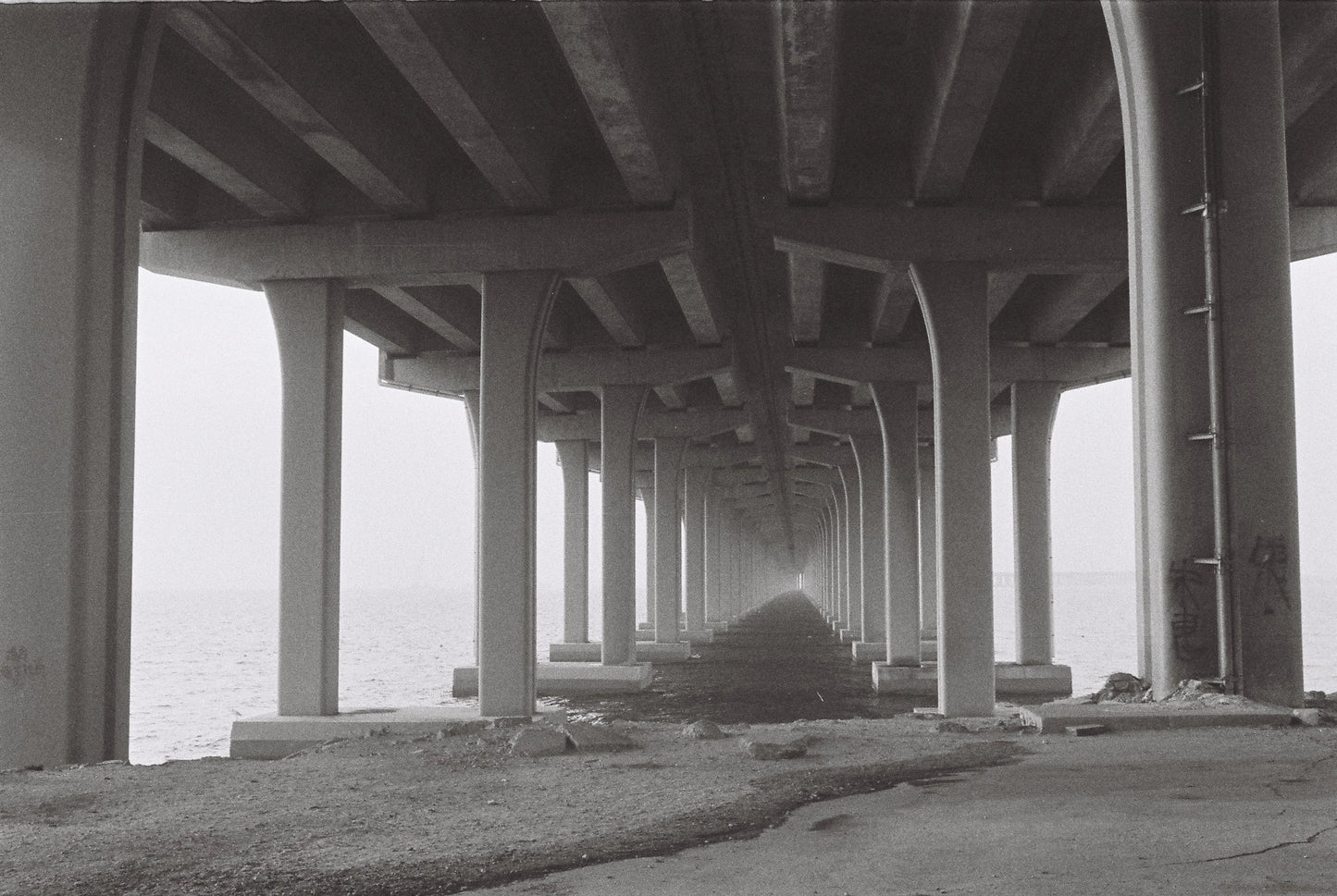 Reflx Lab Pan400 - 36 exp