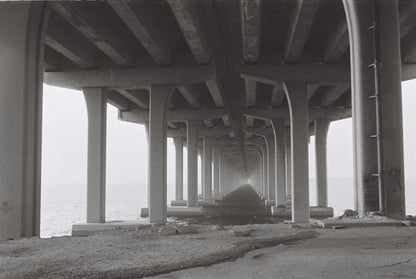 Reflx Lab Pan400 - 36 exp